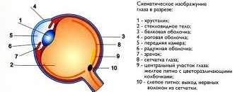 Отслоение сетчатки глаза операция